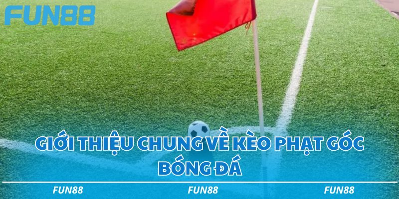 Tìm hiểu 4 loại kèo phạt góc phổ biến và chiến lược cược hay 1 Giới thiệu chung về kèo phạt góc bóng đá